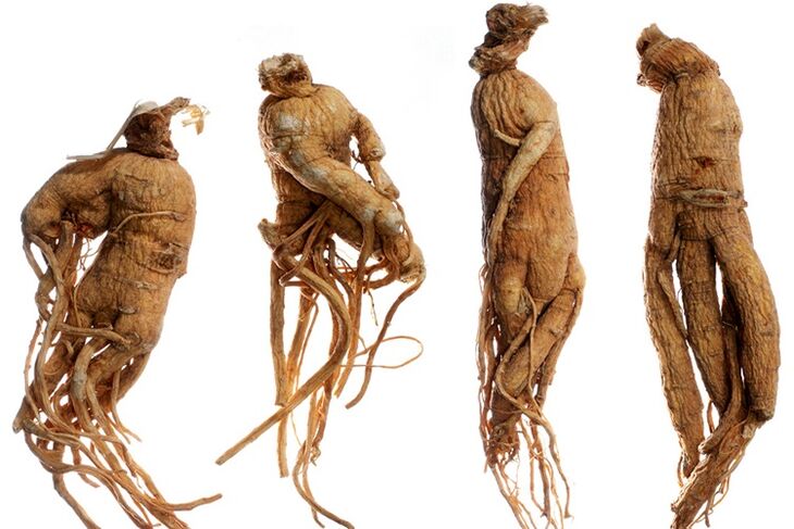 Radice di ginseng per l'ingrandimento del pene